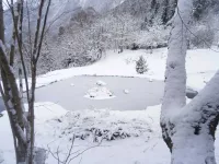 ski (2)